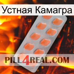 Устная Камагра 26